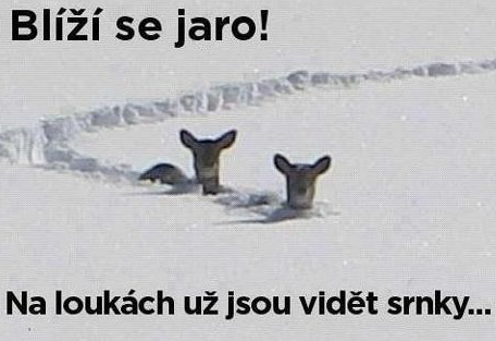 Blíží se jaro...